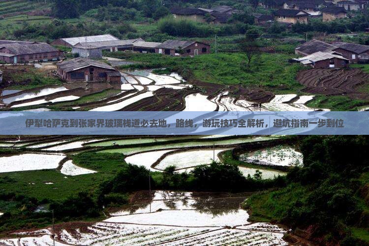 伊犁哈萨克到张家界玻璃栈道必去地