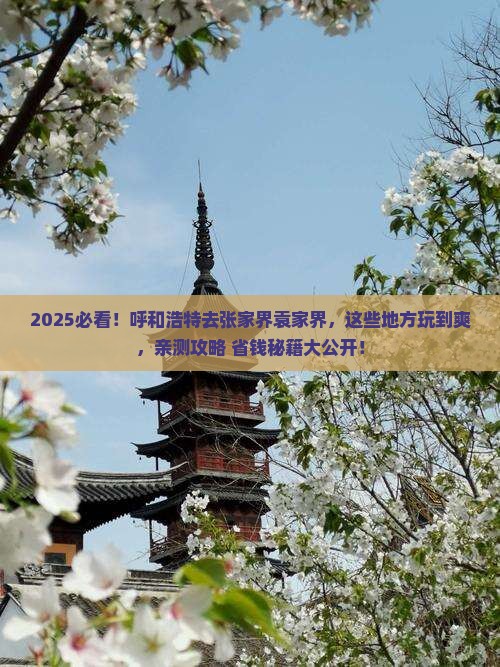 呼和浩特去张家界袁家界哪里玩