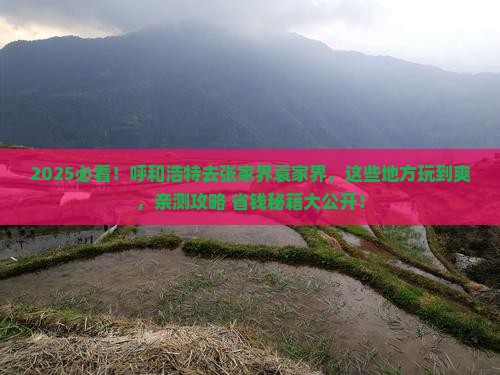 呼和浩特去张家界袁家界哪里玩