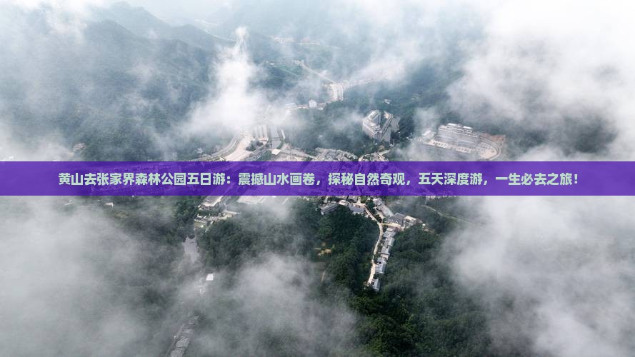 黄山去张家界森林公园五日游