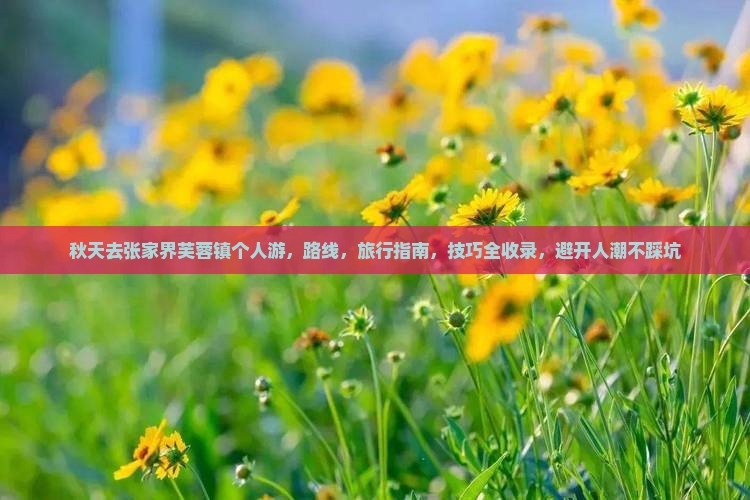 秋天去张家界芙蓉镇个人游