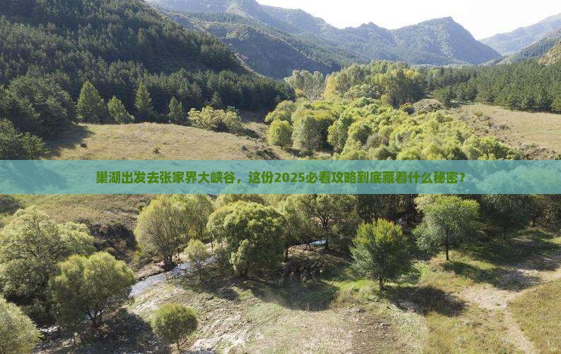 巢湖去张家界大峡谷旅行社