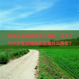 巢湖去张家界大峡谷旅行社