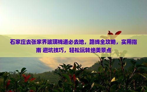 石家庄去张家界玻璃栈道必去地