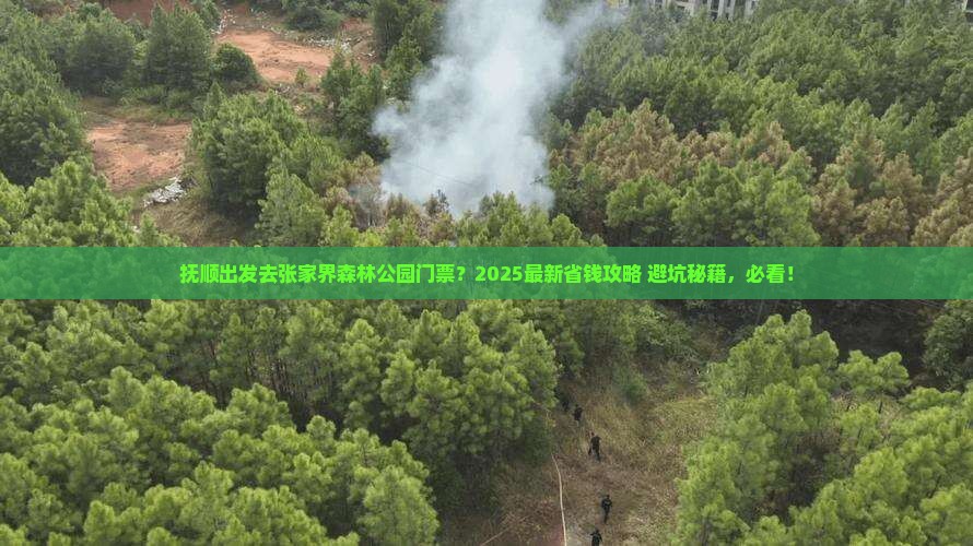 抚顺到张家界森林公园门票