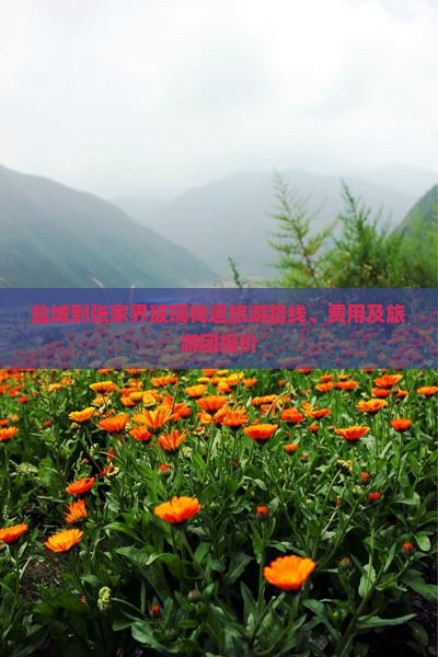 盐城到张家界玻璃栈道旅游