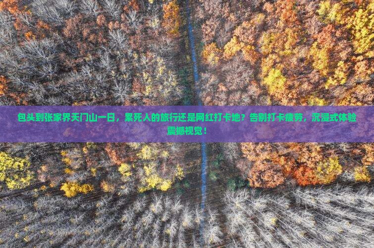 包头到张家界天门山一日
