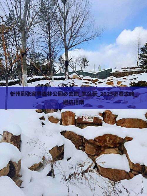 忻州到张家界森林公园必去地