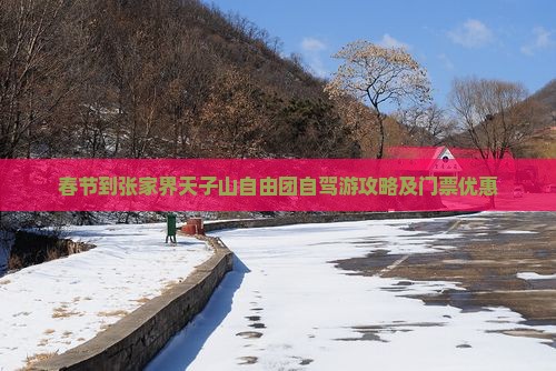 春节到张家界天子山自由团