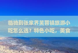 临猗到张家界芙蓉镇旅游小吃