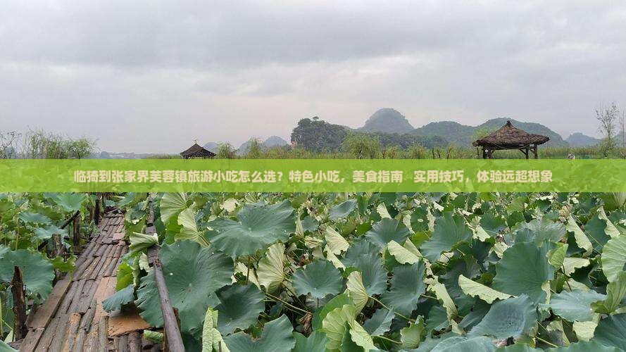 临猗到张家界芙蓉镇旅游小吃