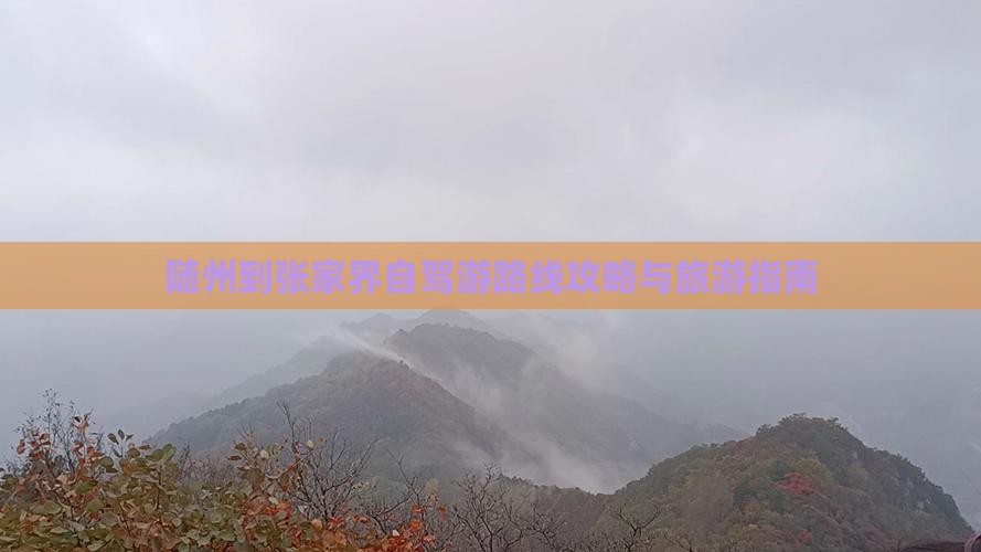 随州到张家界景点