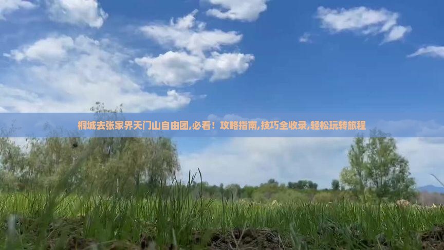 桐城去张家界天门山自由团