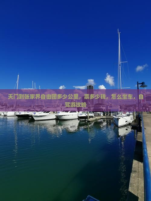 天门到张家界自由团