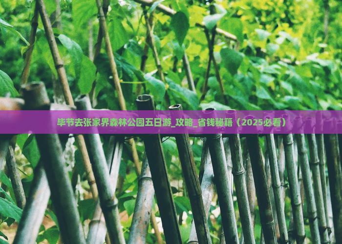 毕节去张家界森林公园五日游
