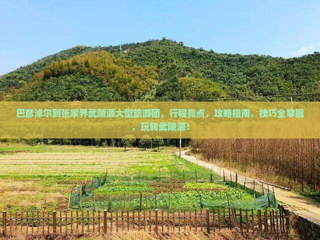 巴彦淖尔到张家界武陵源大型旅游团