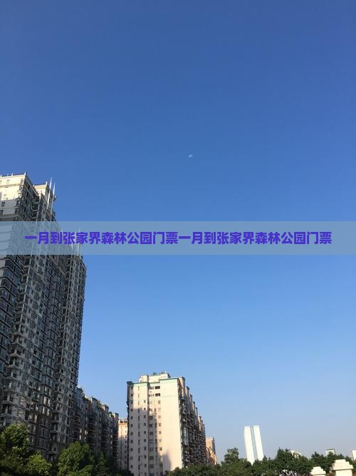 一月到张家界森林公园门票