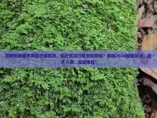 邯郸到张家界凤凰古城旅游