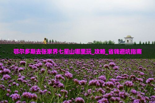 鄂尔多斯去张家界七星山哪里玩