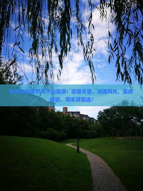 荆州去张家界天子山旅游