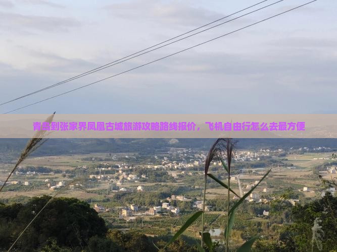 青岛到张家界凤凰古城旅游