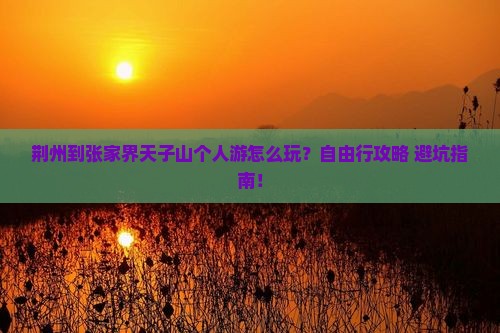 荆州到张家界天子山个人游