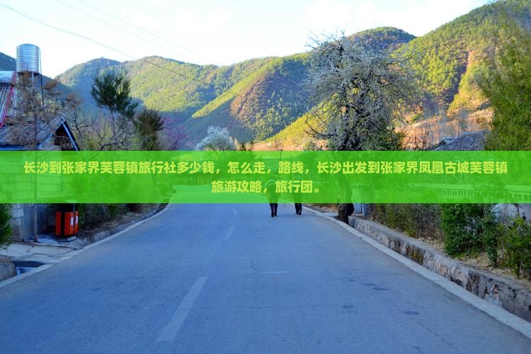 长沙到张家界芙蓉镇旅行社