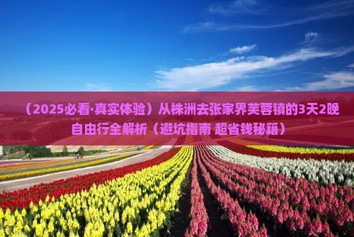 株洲去张家界芙蓉镇攻略