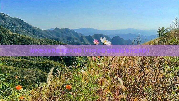 随州去张家界大型旅游团