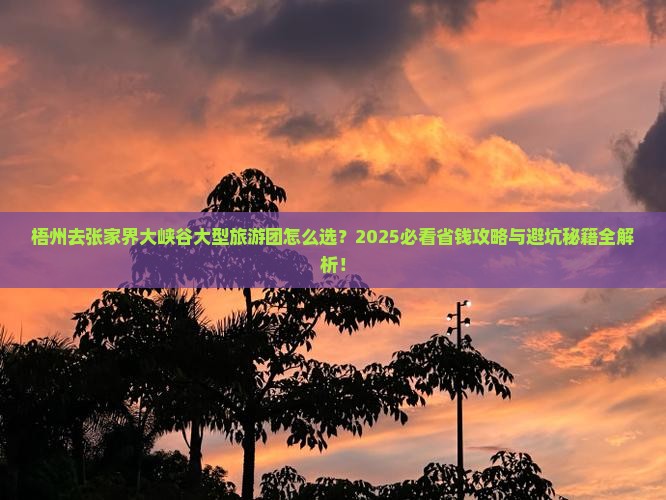 梧州去张家界大峡谷大型旅游团