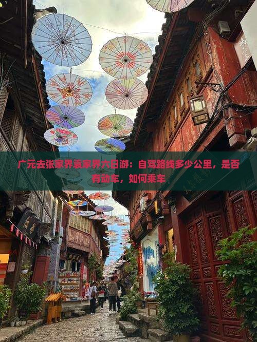 广元去张家界袁家界六日游