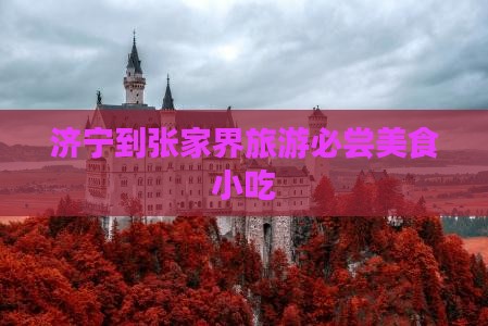 济宁到张家界旅游小吃