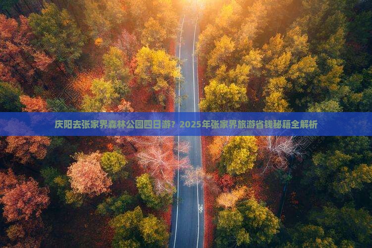庆阳去张家界森林公园四日游