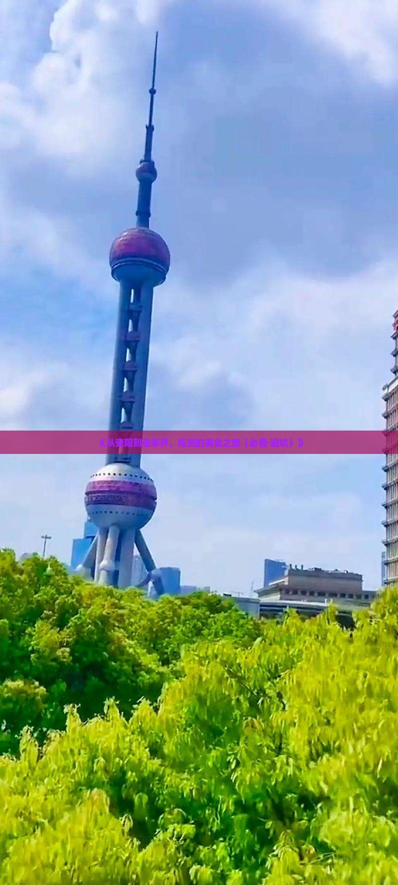 安阳去张家界旅游小吃