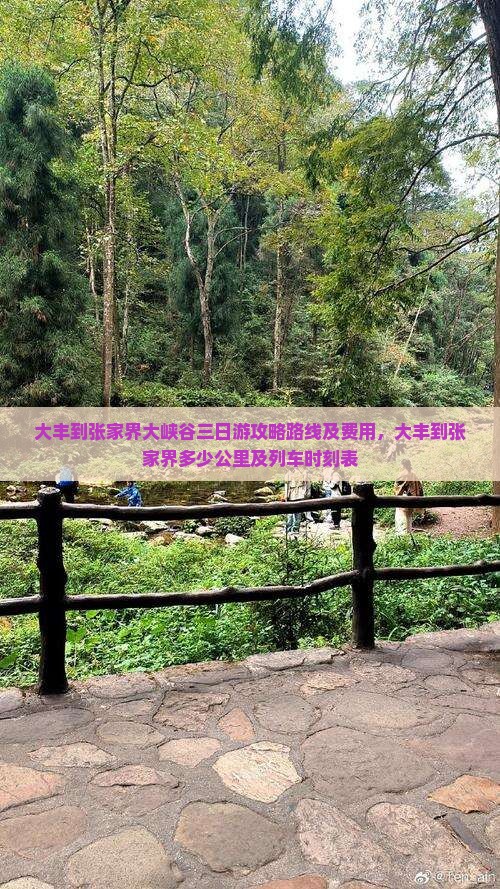大丰到张家界大峡谷三日游