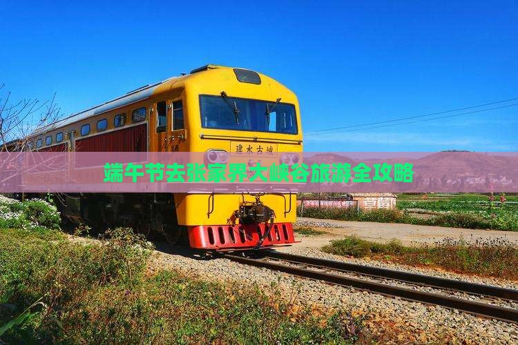 端午节去张家界大峡谷旅游