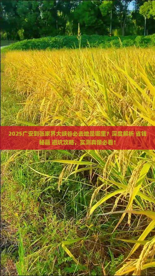 广安到张家界大峡谷必去地