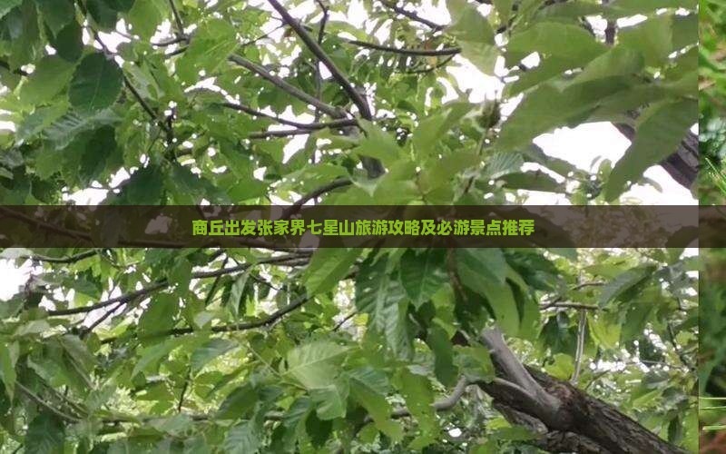 商丘到张家界七星山自由行