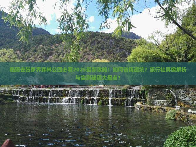 临猗去张家界森林公园旅行社