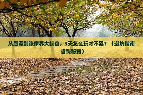 鹰潭去张家界大峡谷旅游