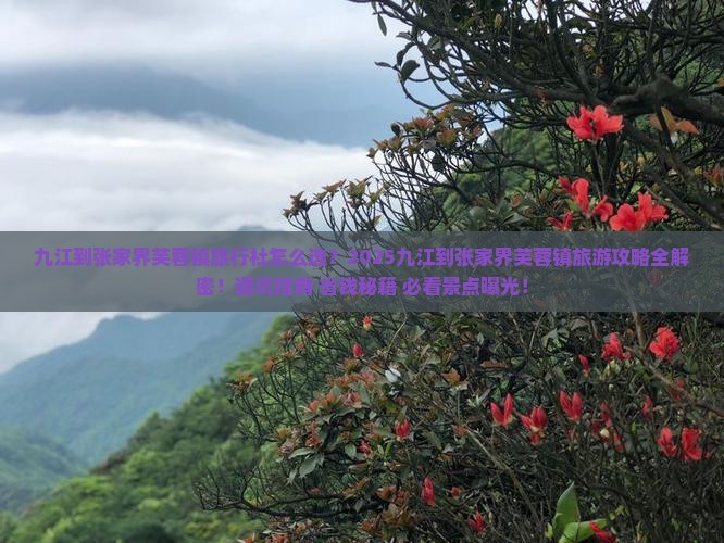 九江到张家界芙蓉镇旅行社