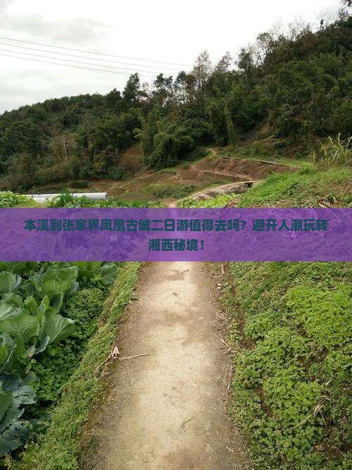 本溪到张家界凤凰古城二日游