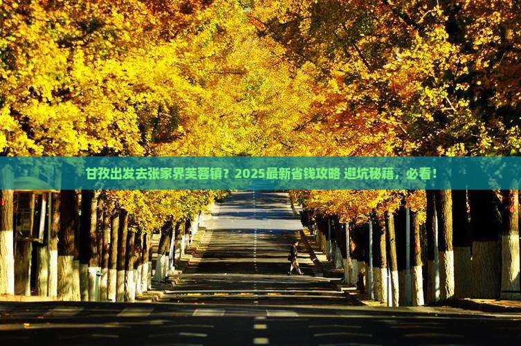甘孜去张家界芙蓉镇攻略