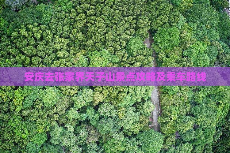 安庆去张家界天子山景点