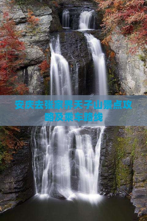 安庆去张家界天子山景点