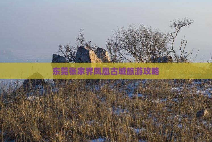 东莞去张家界凤凰古城旅游