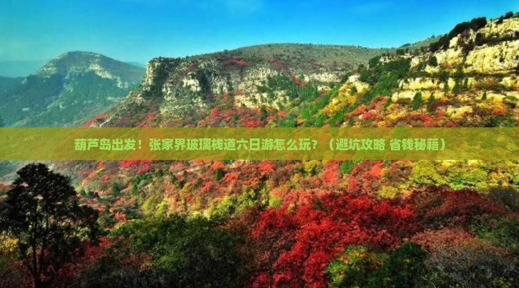葫芦岛去张家界玻璃栈道六日游