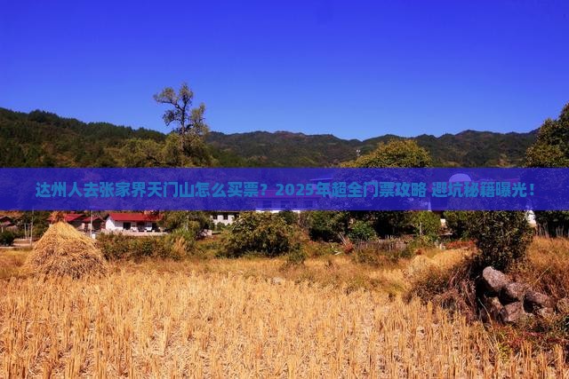 达州去张家界天门山门票