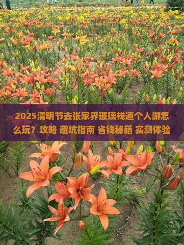 清明节去张家界玻璃栈道个人游