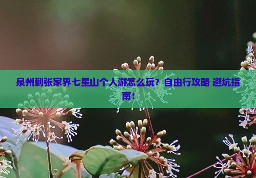 泉州到张家界七星山个人游